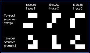 Spatial memory fMRI